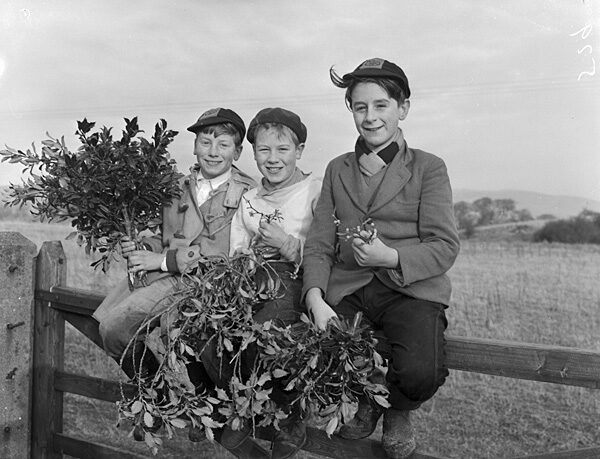 Mistletoe bringing family together - three boys holding mistletoe bouquets